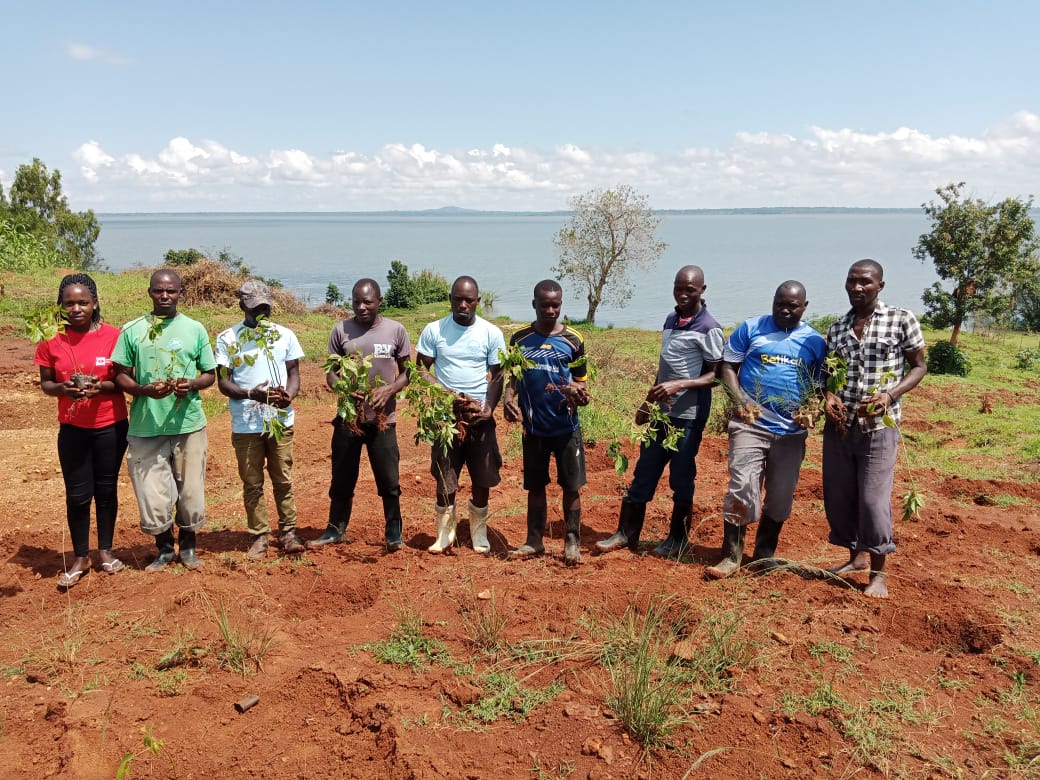 Group tree Planting